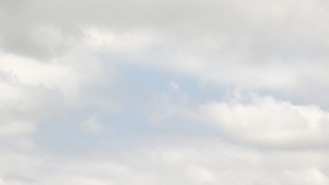 SWA1604