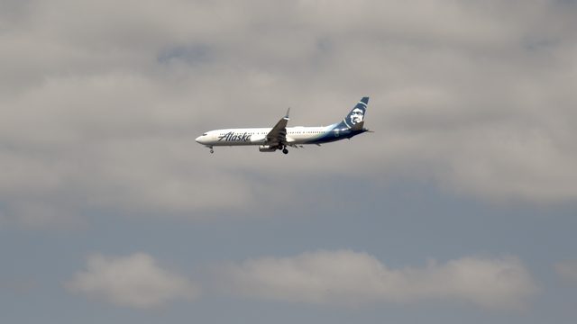ASA1394